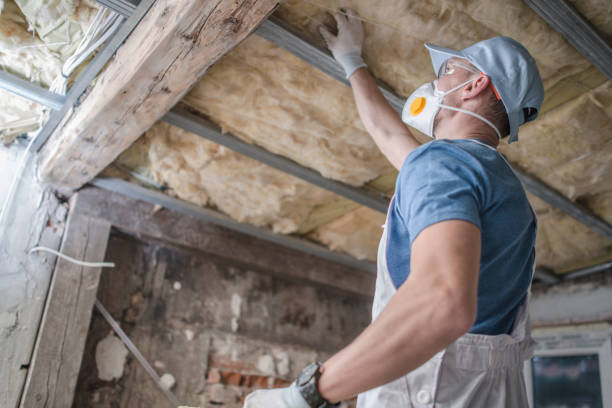 Best Blown-in Insulation in Sulphur Springs, TX