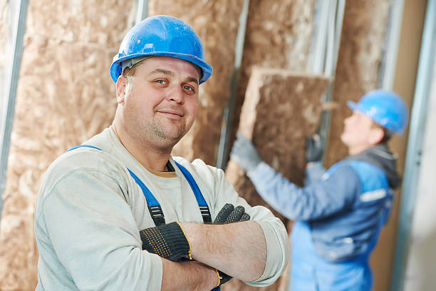Best Eco-Friendly Insulation in Sulphur Springs, TX