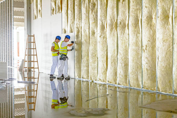 Professional Insulation Contractor in Sulphur Springs, TX